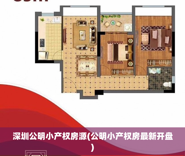 深圳公明小产权房源(公明小产权房最新开盘)