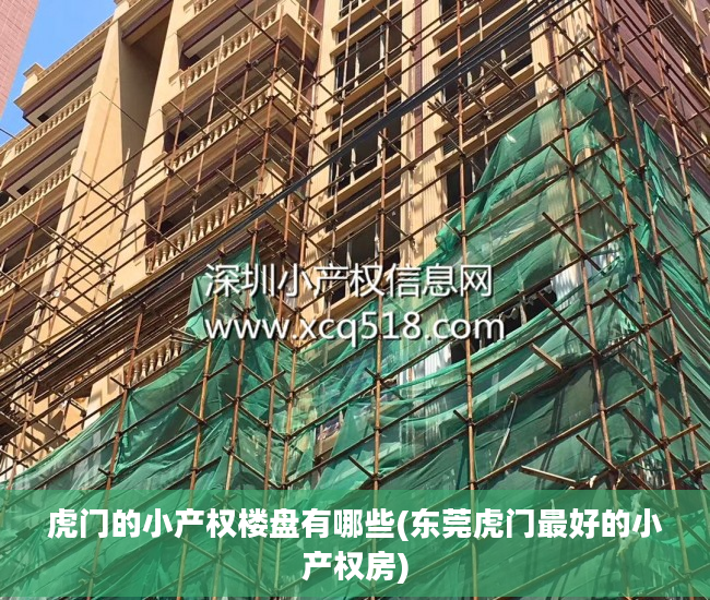 虎门的小产权楼盘有哪些(东莞虎门最好的小产权房)