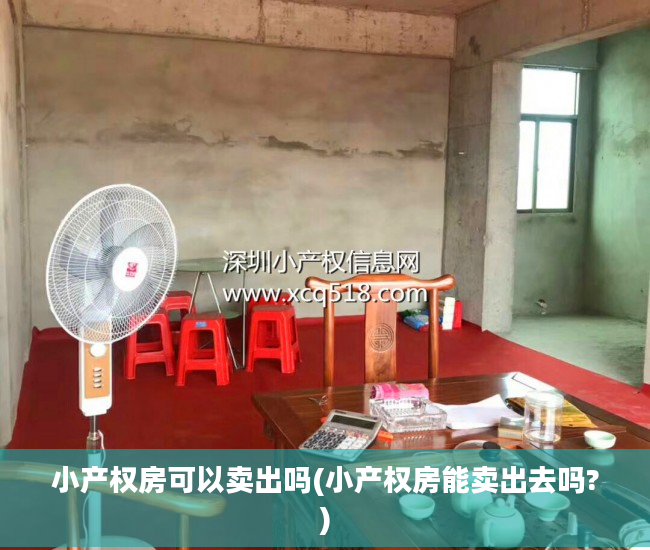 小产权房可以卖出吗(小产权房能卖出去吗?)