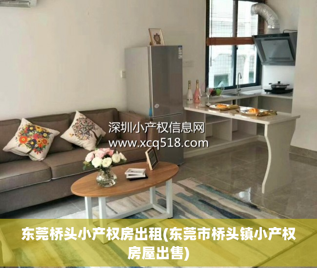 东莞桥头小产权房出租(东莞市桥头镇小产权房屋出售)
