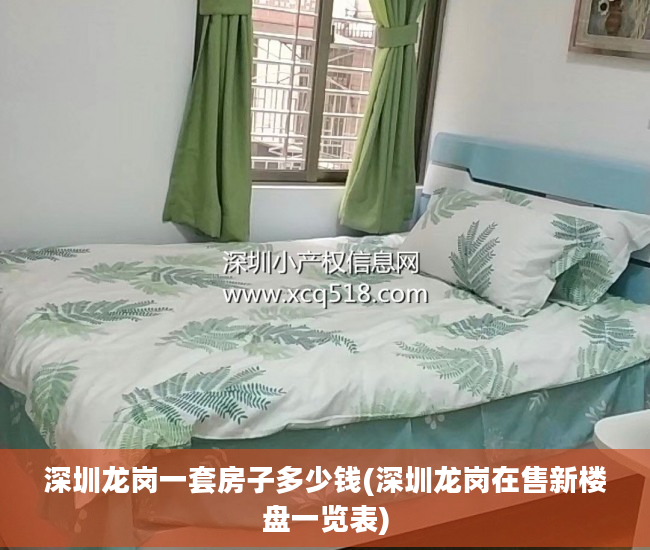 深圳龙岗一套房子多少钱(深圳龙岗在售新楼盘一览表)