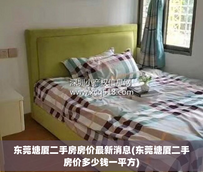 东莞塘厦二手房房价最新消息(东莞塘厦二手房价多少钱一平方)