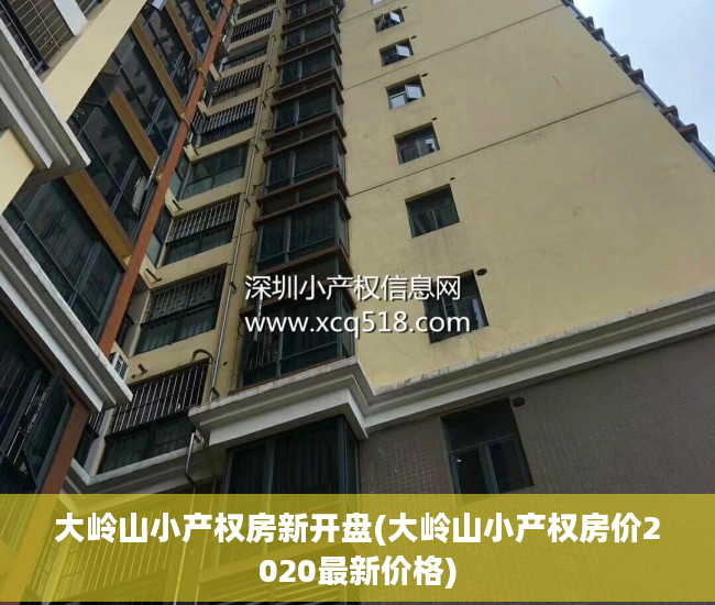 大岭山小产权房新开盘(大岭山小产权房价2020最新价格)