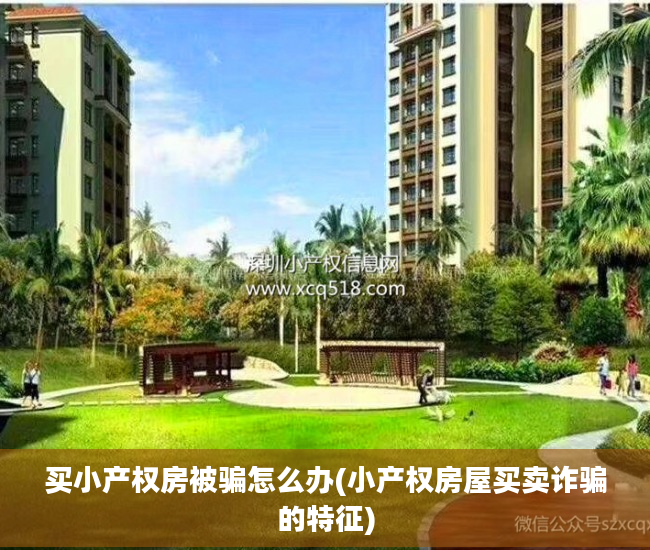 买小产权房被骗怎么办(小产权房屋买卖诈骗的特征)