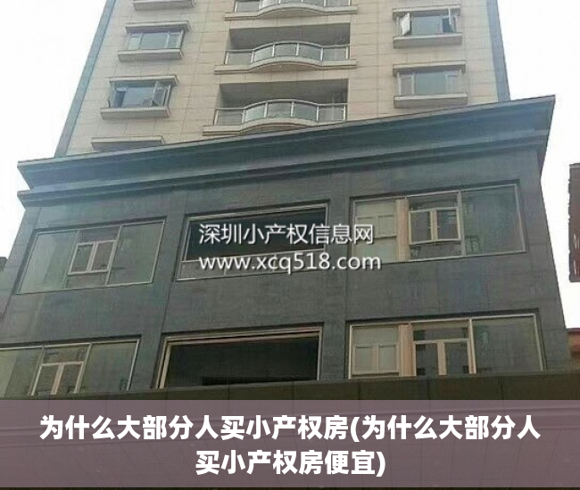 为什么大部分人买小产权房(为什么大部分人买小产权房便宜)