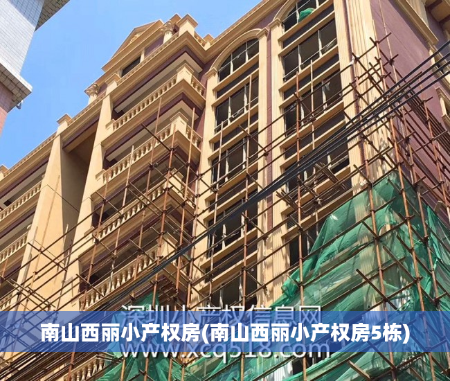 南山西丽小产权房(南山西丽小产权房5栋)