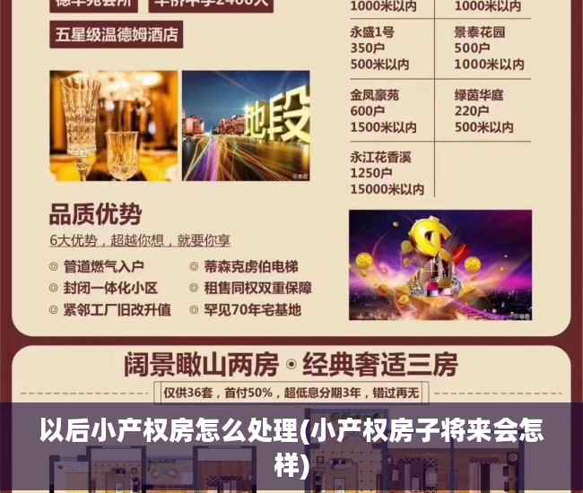 以后小产权房怎么处理(小产权房子将来会怎样)