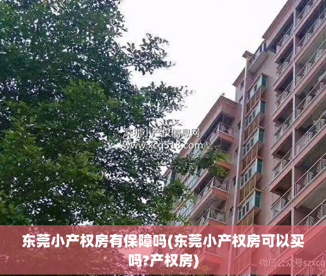 东莞小产权房有保障吗(东莞小产权房可以买吗?产权房)