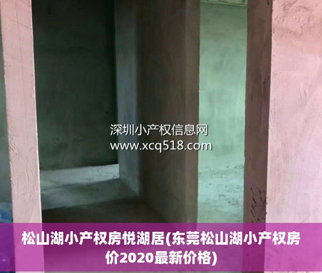 松山湖小产权房悦湖居(东莞松山湖小产权房价2020最新价格)