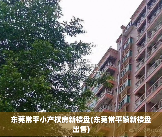 东莞常平小产权房新楼盘(东莞常平镇新楼盘出售)