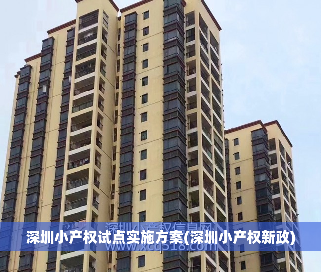 深圳小产权试点实施方案(深圳小产权新政)