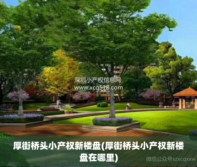 厚街桥头小产权新楼盘(厚街桥头小产权新楼盘在哪里)