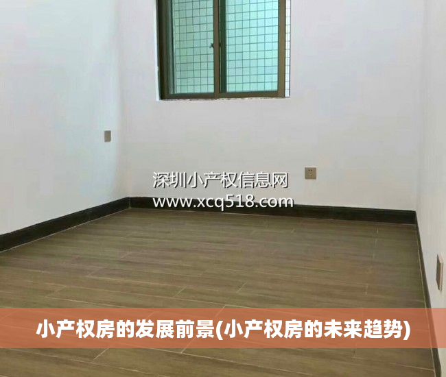 小产权房的发展前景(小产权房的未来趋势)