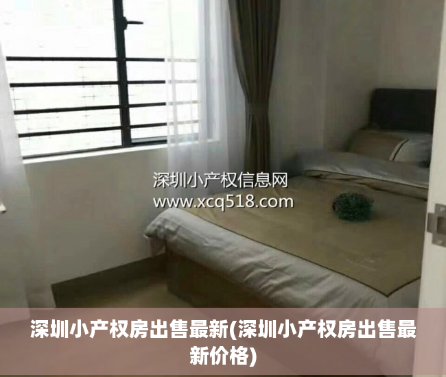 深圳小产权房出售最新(深圳小产权房出售最新价格)