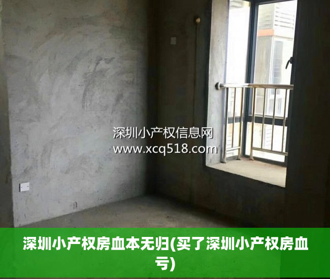 深圳小产权房血本无归(买了深圳小产权房血亏)