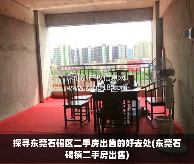 探寻东莞石碣区二手房出售的好去处(东莞石碣镇二手房出售)