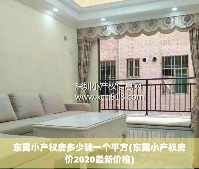 东莞小产权房多少钱一个平方(东莞小产权房价2020最新价格)