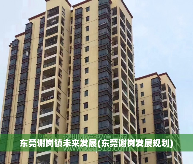 东莞谢岗镇未来发展(东莞谢岗发展规划)