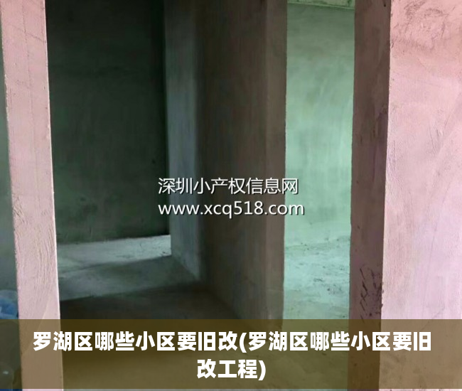 罗湖区哪些小区要旧改(罗湖区哪些小区要旧改工程)