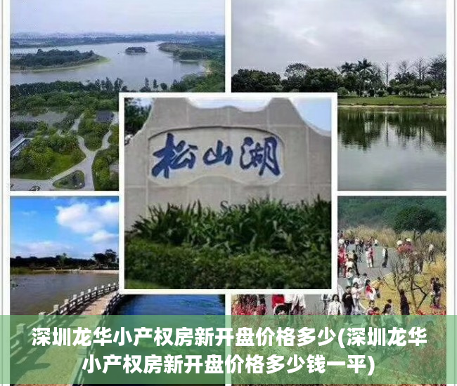深圳龙华小产权房新开盘价格多少(深圳龙华小产权房新开盘价格多少钱一平)