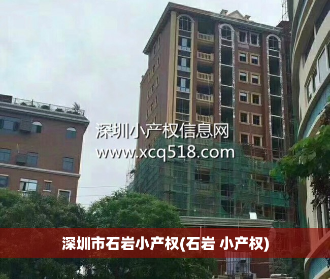 深圳市石岩小产权(石岩 小产权)