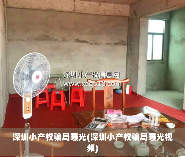 深圳小产权骗局曝光(深圳小产权骗局曝光视频)