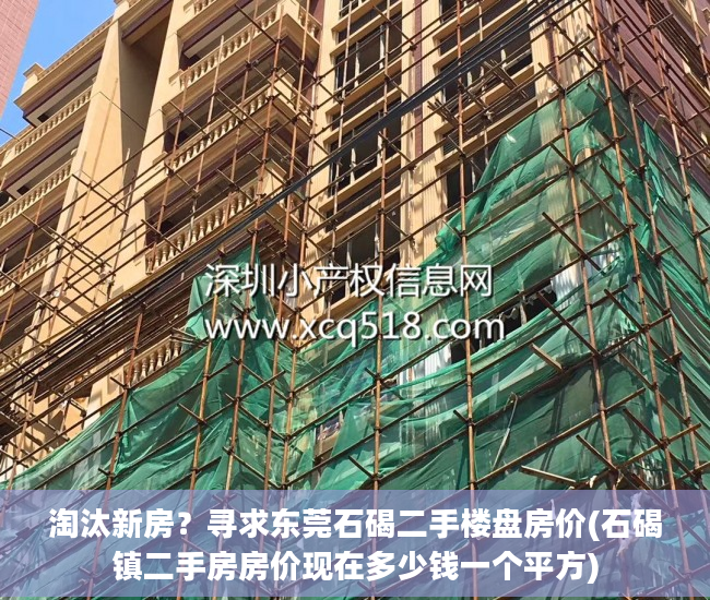 淘汰新房？寻求东莞石碣二手楼盘房价(石碣镇二手房房价现在多少钱一个平方)