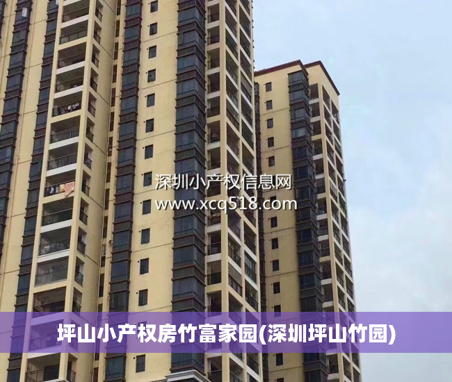 坪山小产权房竹富家园(深圳坪山竹园)