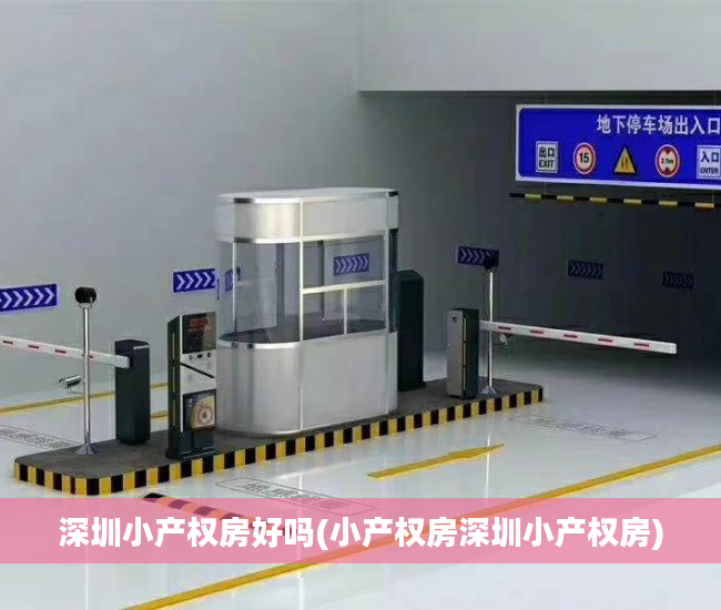 深圳小产权房好吗(小产权房深圳小产权房)