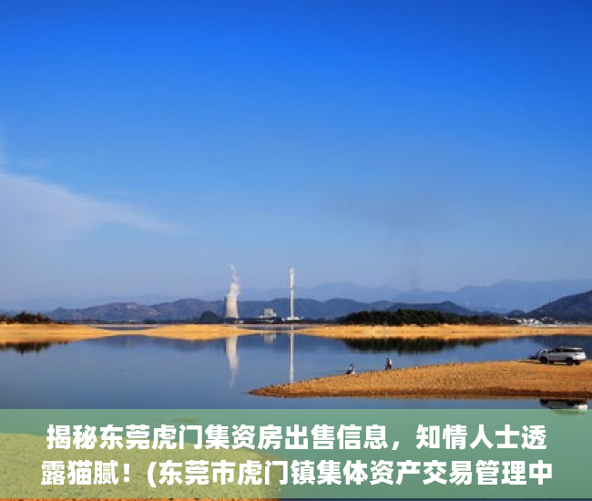 揭秘东莞虎门集资房出售信息，知情人士透露猫腻！(东莞市虎门镇集体资产交易管理中心)