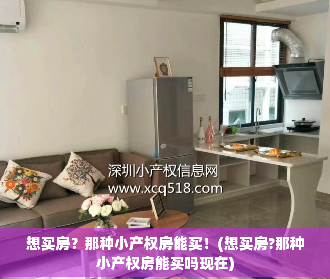 想买房？那种小产权房能买！(想买房?那种小产权房能买吗现在)