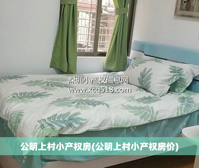 公明上村小产权房(公明上村小产权房价)