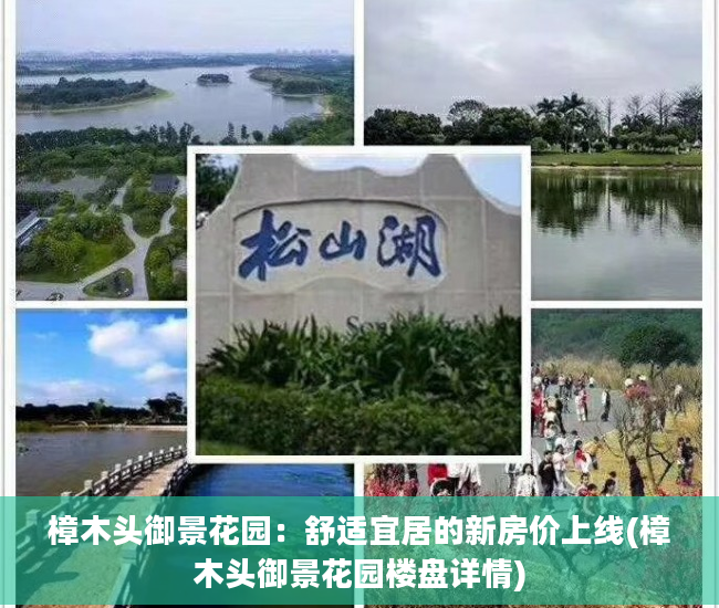 樟木头御景花园：舒适宜居的新房价上线(樟木头御景花园楼盘详情)