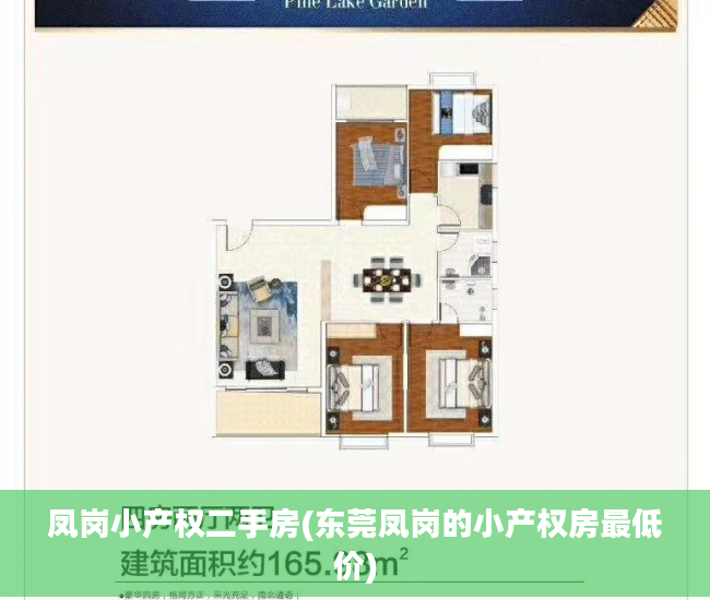 凤岗小产权二手房(东莞凤岗的小产权房最低价)