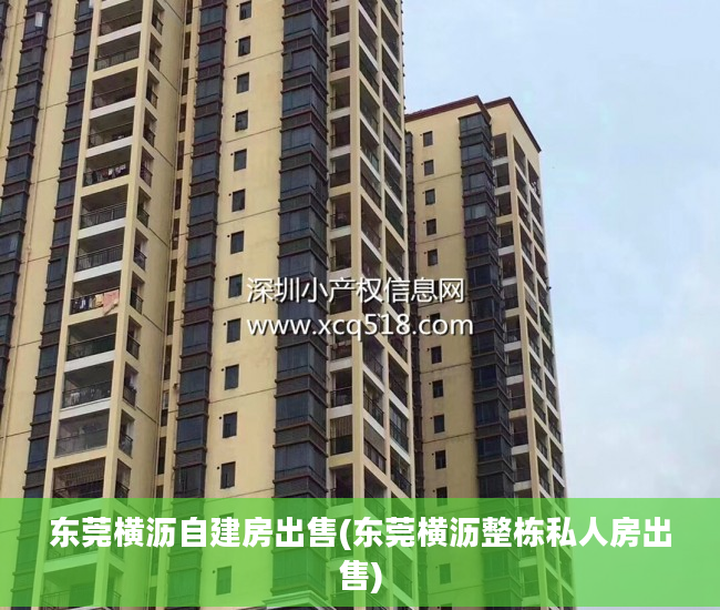 东莞横沥自建房出售(东莞横沥整栋私人房出售)