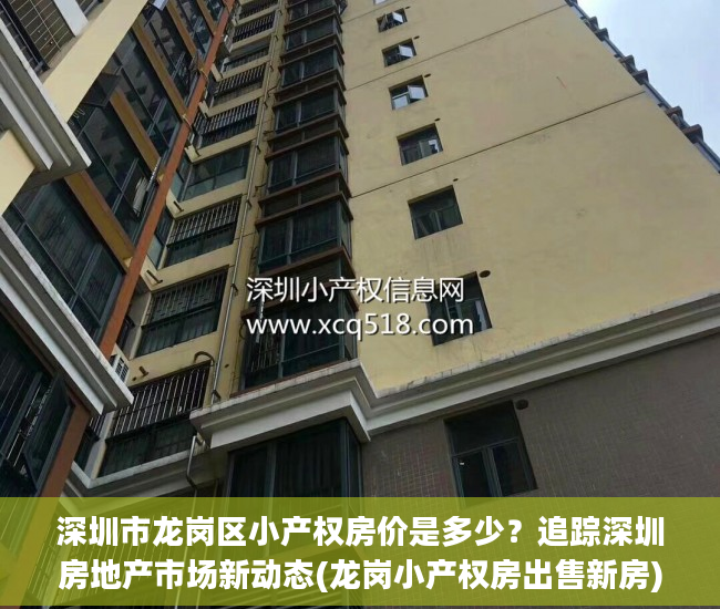 深圳市龙岗区小产权房价是多少？追踪深圳房地产市场新动态(龙岗小产权房出售新房)