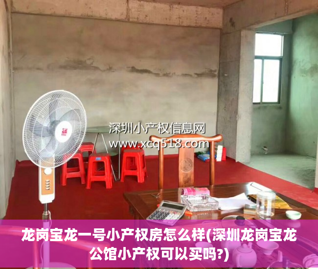龙岗宝龙一号小产权房怎么样(深圳龙岗宝龙公馆小产权可以买吗?)