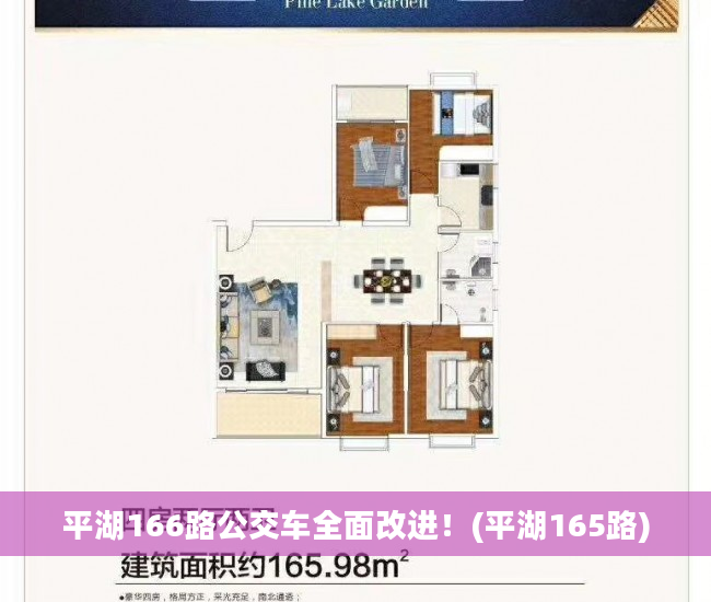 平湖166路公交车全面改进！(平湖165路)