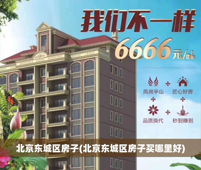 北京东城区房子(北京东城区房子买哪里好)