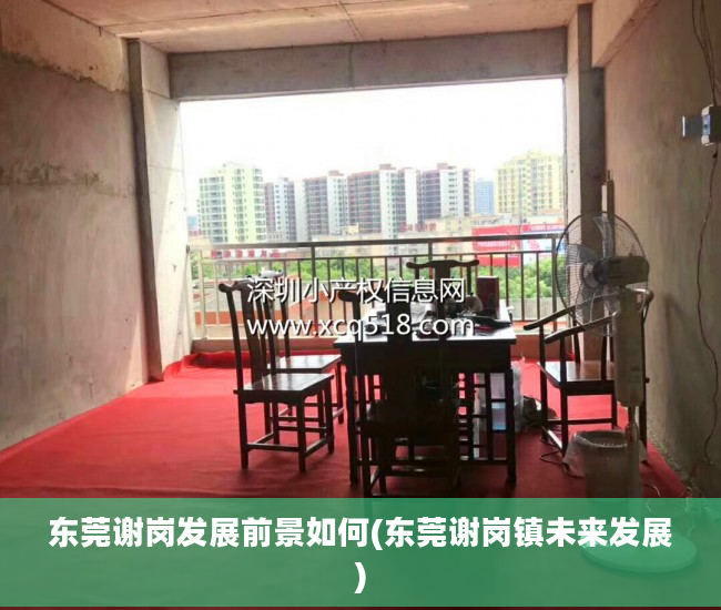东莞谢岗发展前景如何(东莞谢岗镇未来发展)