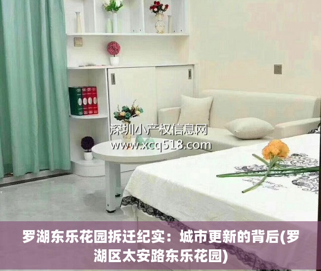 罗湖东乐花园拆迁纪实：城市更新的背后(罗湖区太安路东乐花园)