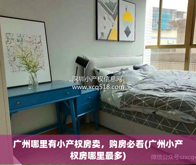 广州哪里有小产权房卖，购房必看(广州小产权房哪里最多)