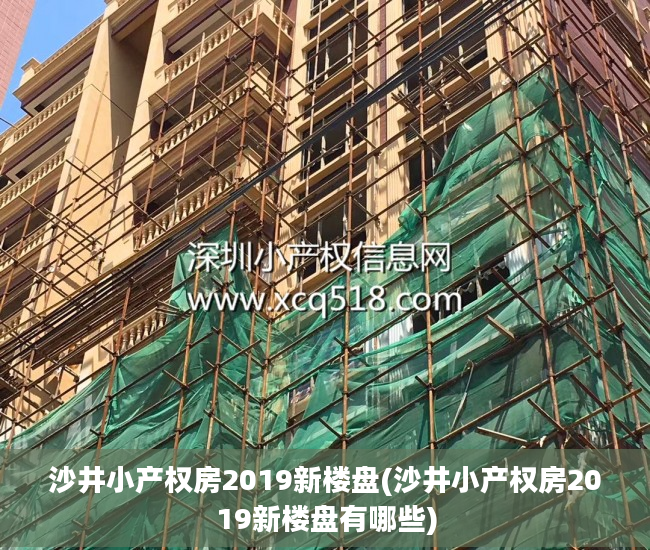 沙井小产权房2019新楼盘(沙井小产权房2019新楼盘有哪些)