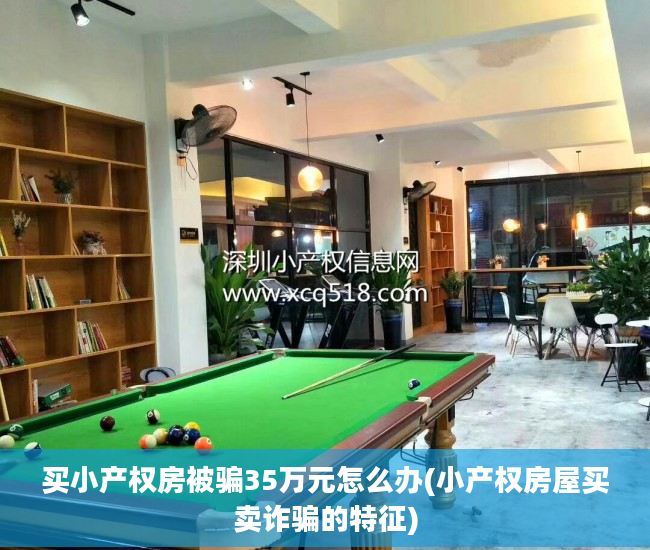 买小产权房被骗35万元怎么办(小产权房屋买卖诈骗的特征)