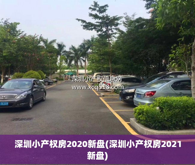 深圳小产权房2020新盘(深圳小产权房2021新盘)