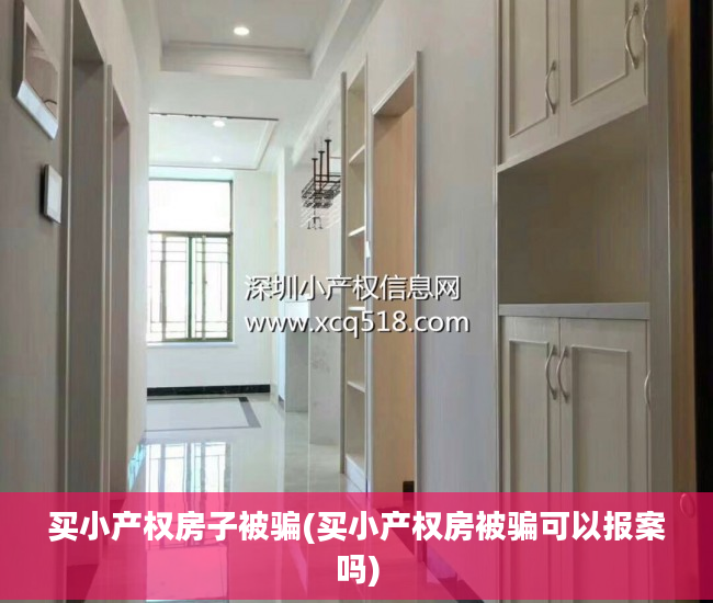 买小产权房子被骗(买小产权房被骗可以报案吗)