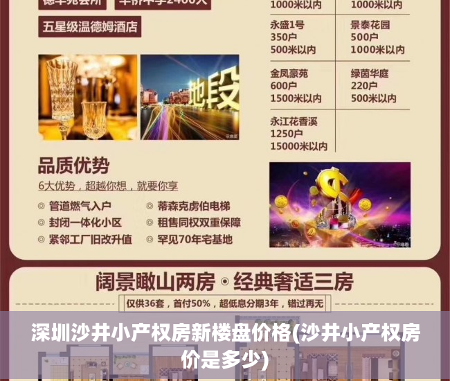 深圳沙井小产权房新楼盘价格(沙井小产权房价是多少)