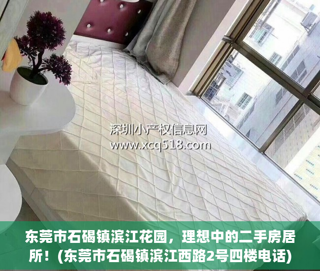 东莞市石碣镇滨江花园，理想中的二手房居所！(东莞市石碣镇滨江西路2号四楼电话)