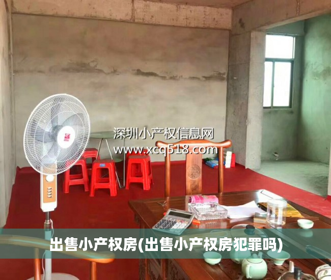 出售小产权房(出售小产权房犯罪吗)