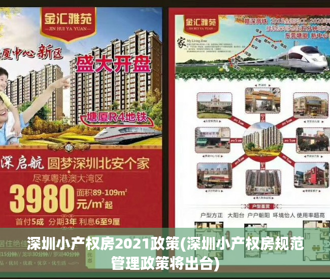 深圳小产权房2021政策(深圳小产权房规范管理政策将出台)